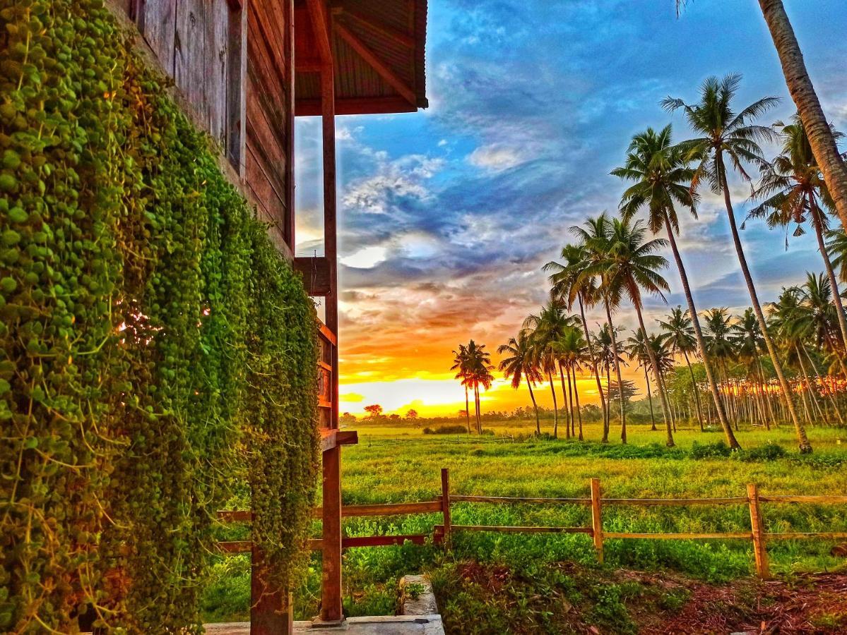 Sunset Homestay By Harry & Mimin Telaga Exterior photo